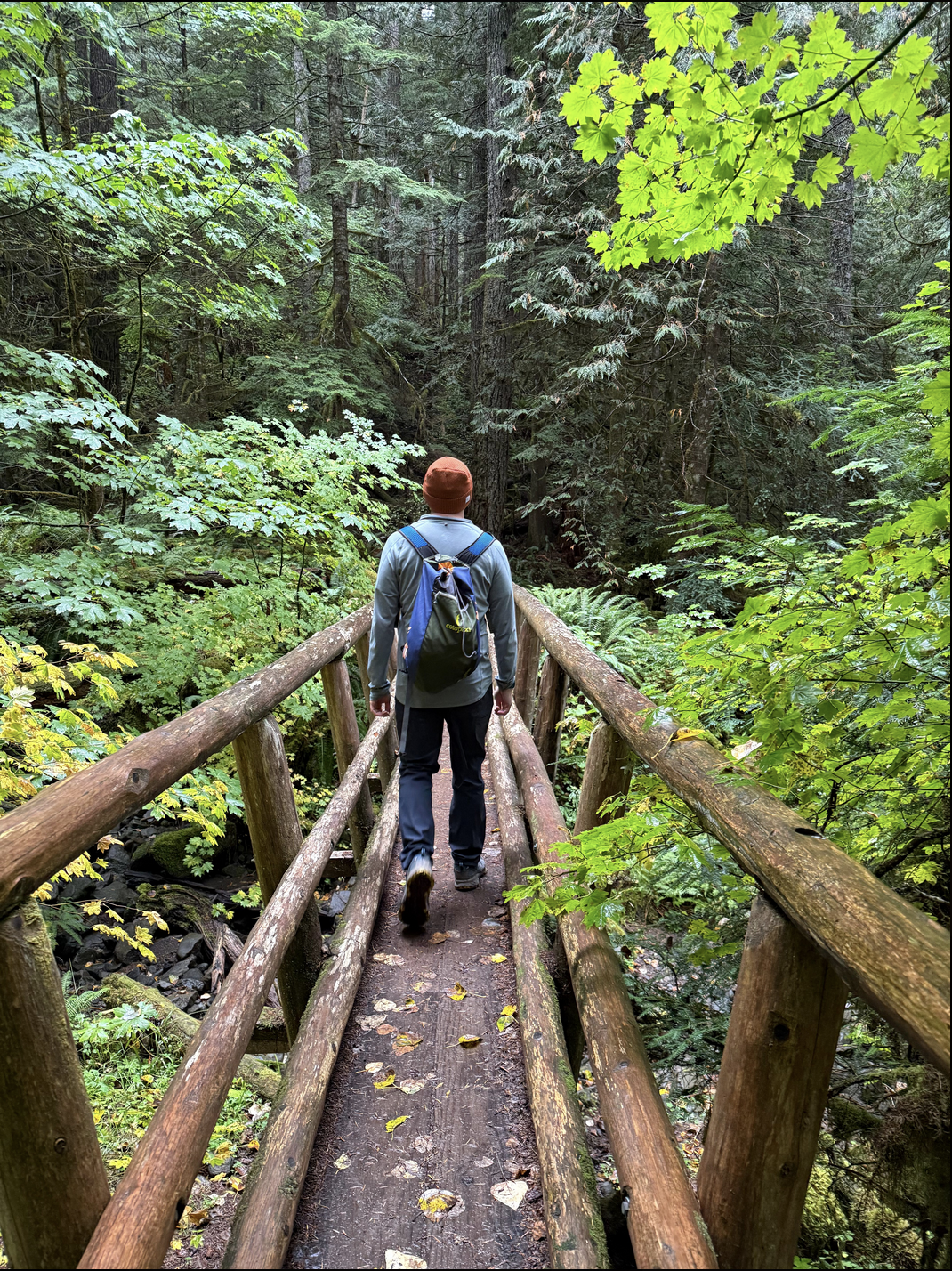 Max, creator of Spanimo